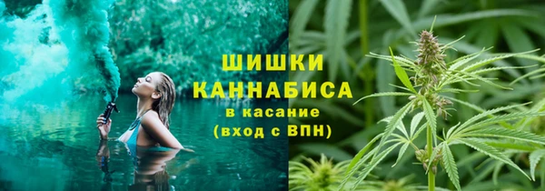 мяу мяу мука Баксан
