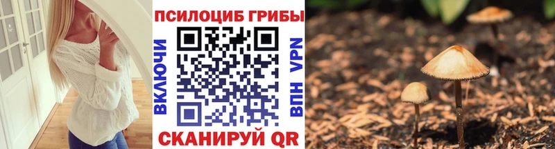 Галлюциногенные грибы Magic Shrooms  Грязовец 